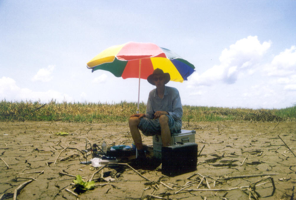 Amazon floodplain